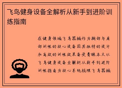飞鸟健身设备全解析从新手到进阶训练指南